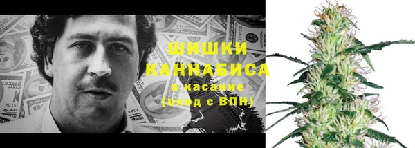 ПСИЛОЦИБИНОВЫЕ ГРИБЫ Армянск