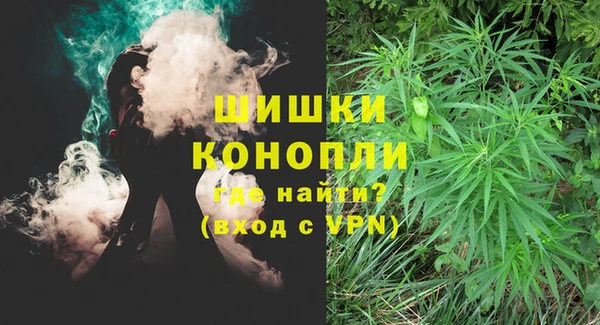ПСИЛОЦИБИНОВЫЕ ГРИБЫ Армянск