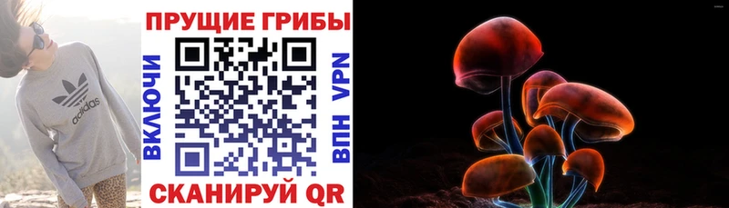 Псилоцибиновые грибы Magic Shrooms  как найти   Сосногорск 